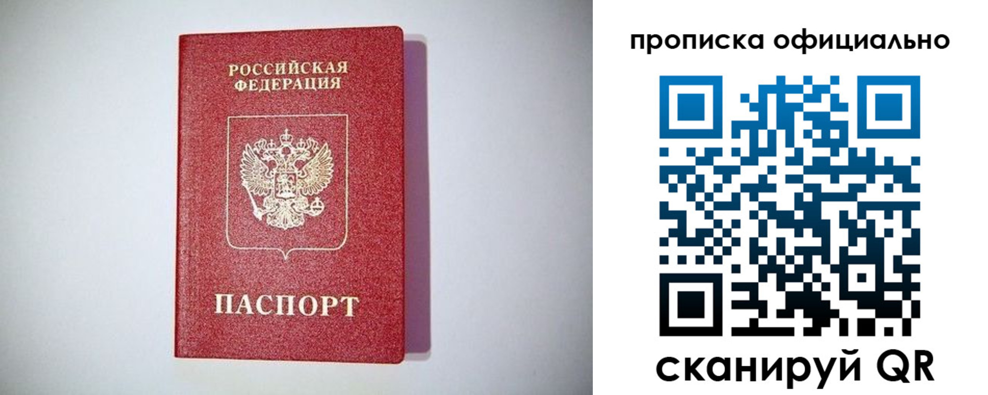 прописка в Шумихе
